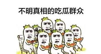 吃瓜群众网络新词,网络新词背后的社会现象解析
